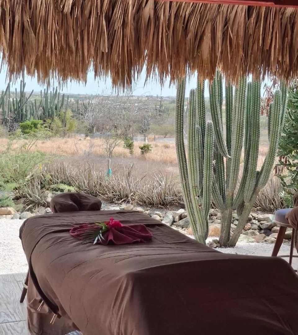 Casita Tres Trapi Daire Noord